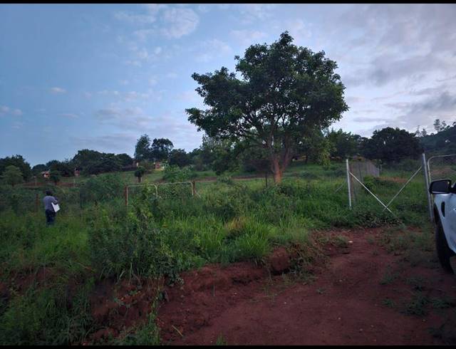 LAND FOR SALE IN ELIM
